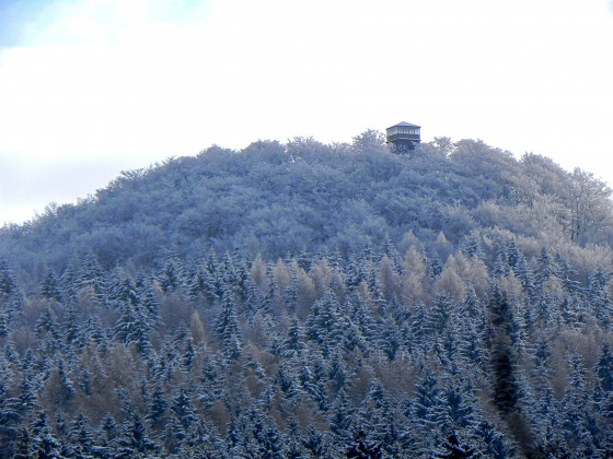 Vlčí hora (foto: Rostislav Křivánek)