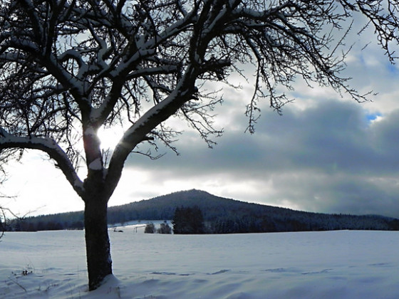 Vlčí hora ze severu (foto: Rostislav Křivánek)