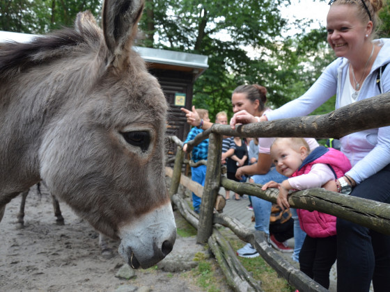 ZOO DĚČÍN