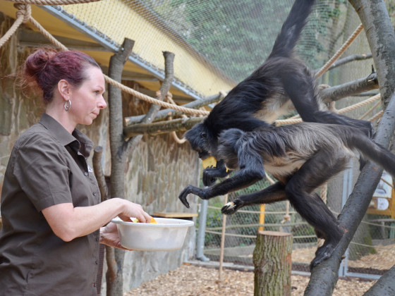 ZOO DĚČÍN