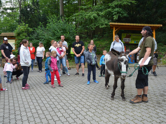 ZOO Děčín - Večerní prohlídka pro děti