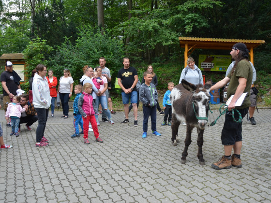 ZOO Děčín - Večerní prohlídka pro děti