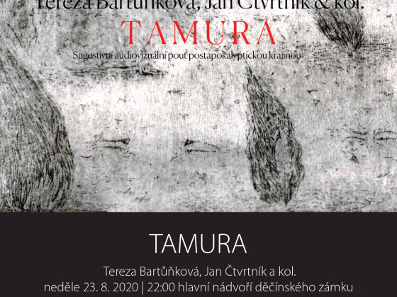 Zámek Děčín - Tamura