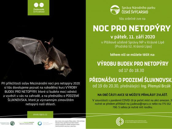 Noc pro netopýry 2020