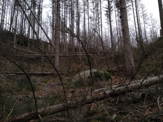 Turistická cesta z Mezní Louky k Malé Pravčické bráně