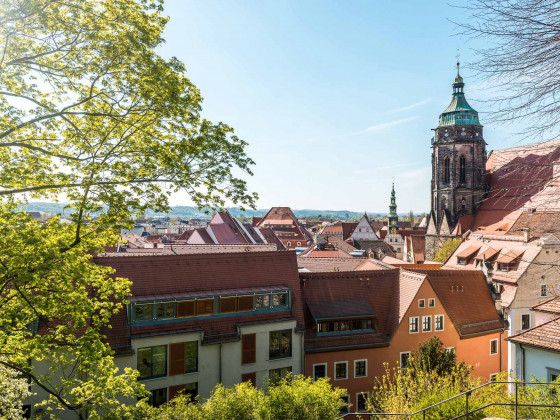 Blick vom Sonnenstein zur Altstadt von Pirna - Achim Meurer