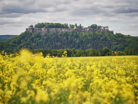 Festung Königstein - Trykowski Florian