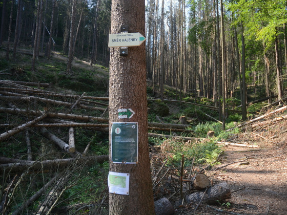 Varovné tabule na území NP České Švýcarsko