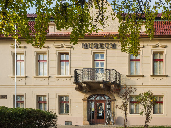 Oblastní muzeum v Děčíně