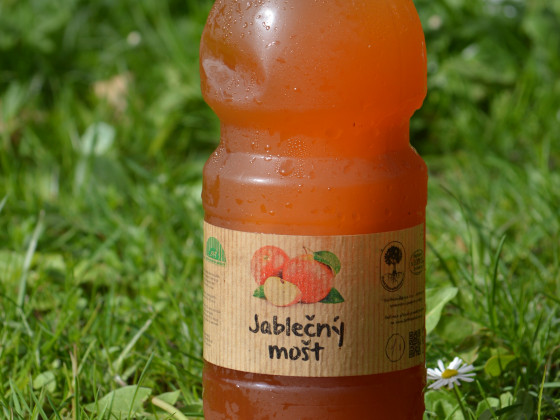Jablečný mošt