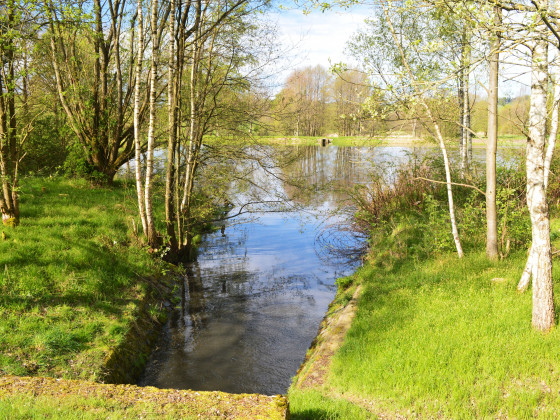 Chovný rybník