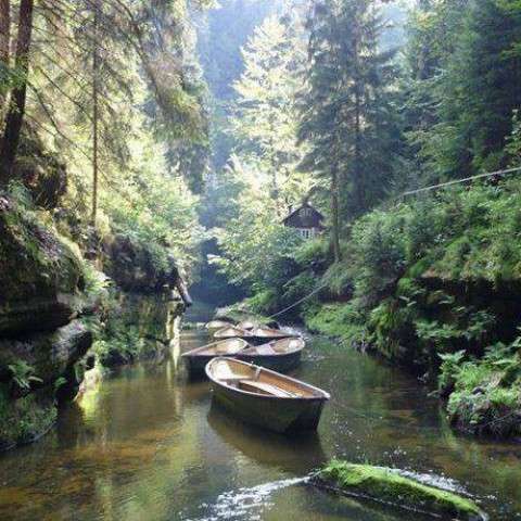 Wilde Klamm