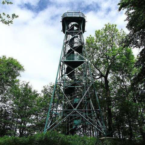 Aussichtsturm auf dem Kaltenberg - Foto M. Kibitz