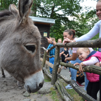 ZOO DĚČÍN