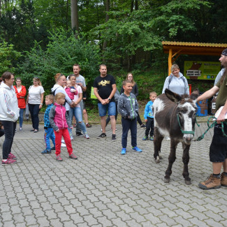 ZOO Děčín - Večerní prohlídka pro děti