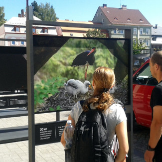 Výstava fotografií Václaa Sojky - 20 let NP ČŠ 