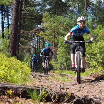 Mountain bike holidays in Bohemian Switzerland National Park 5D/4N 