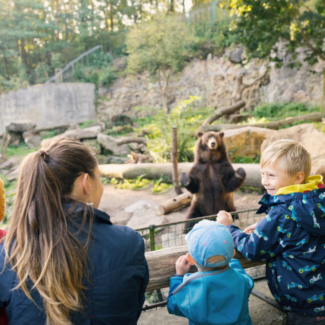 Zoo Děčín