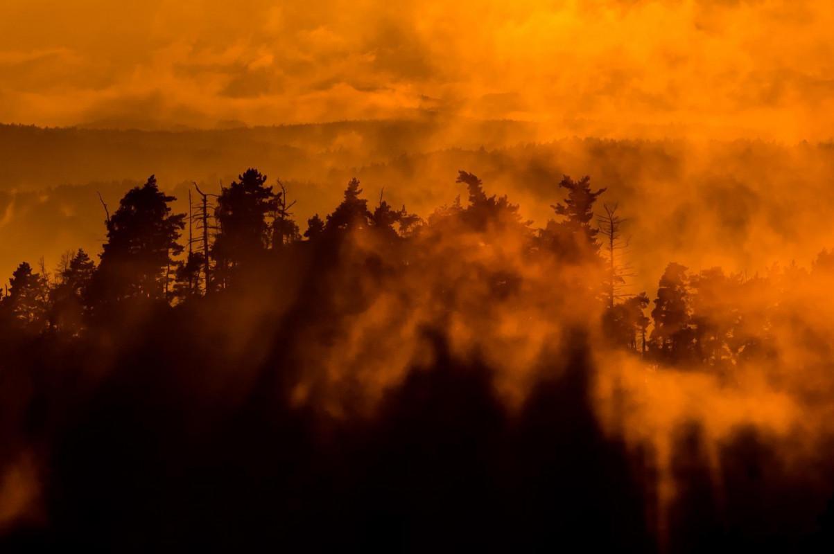 Autor fotografie: Petr Jan Juračka 