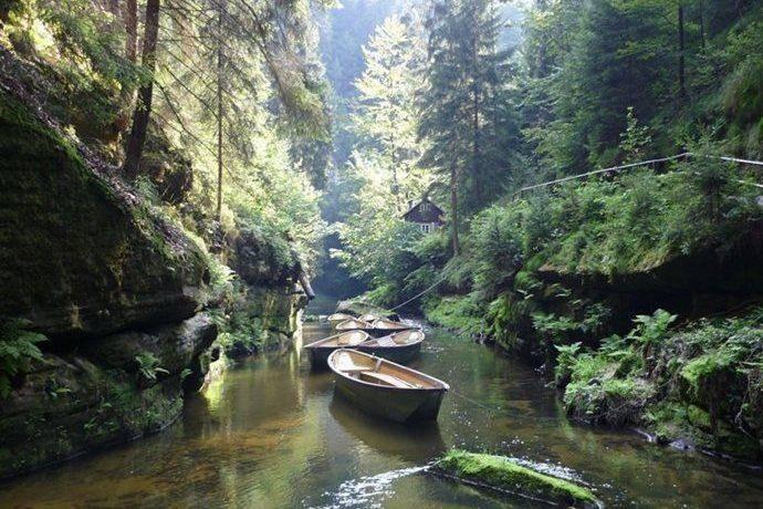 Wilde Klamm