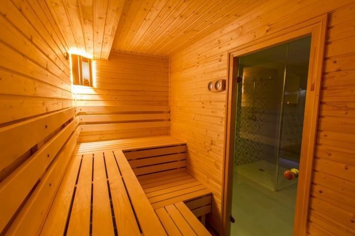 Pension „Balnika“ - Sauna