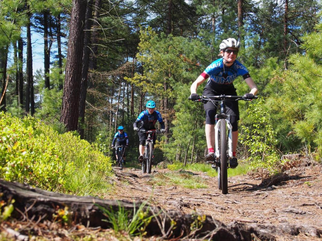 Mountain bike holidays in Bohemian Switzerland National Park 5D/4N 