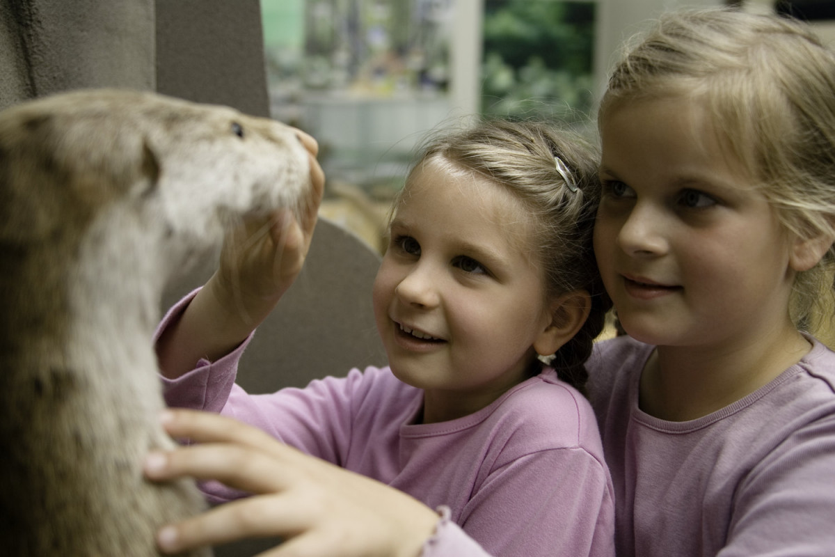 NationalparkZentrum Bad Schandau - expozice národního parku