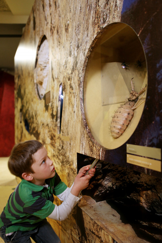 Interaktivní expozice v Domě Českého Švýcarska (foto: S. Beneš)