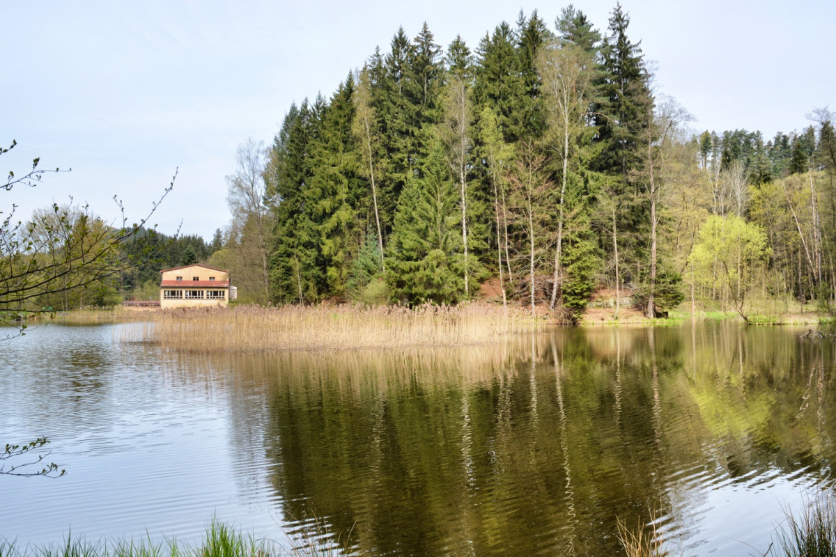 Obchůzkový okruh Pavlínka - mlýn u Grieselova rybníku (foto: Ivo Šafus)