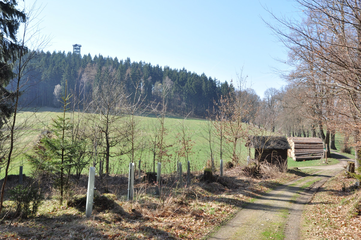 Weifberg (foto: Ivo Šafus)