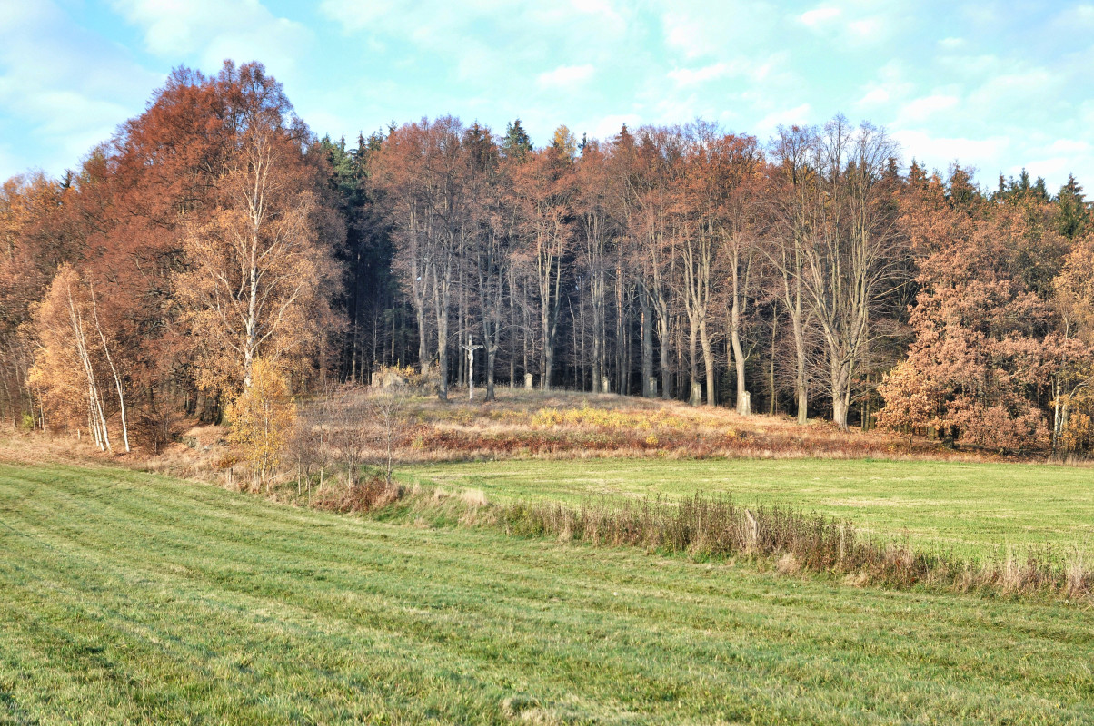 Křížová cesta Velký Šenov (foto: Ivo Šafus)