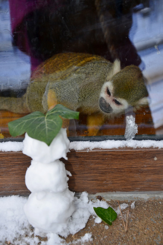 Zoo Děčín