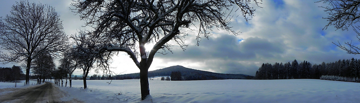 Vlčí hora ze severu (foto: Rostislav Křivánek)