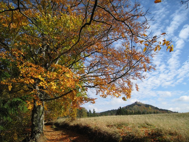 Pustý zámek, foto J. Rak