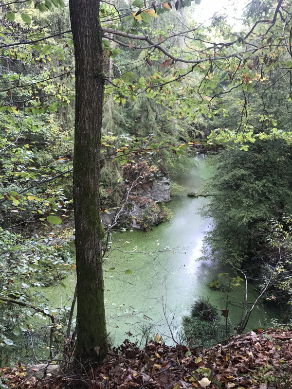 Naučná stezka Šluknov/Rožany (foto č. 3)