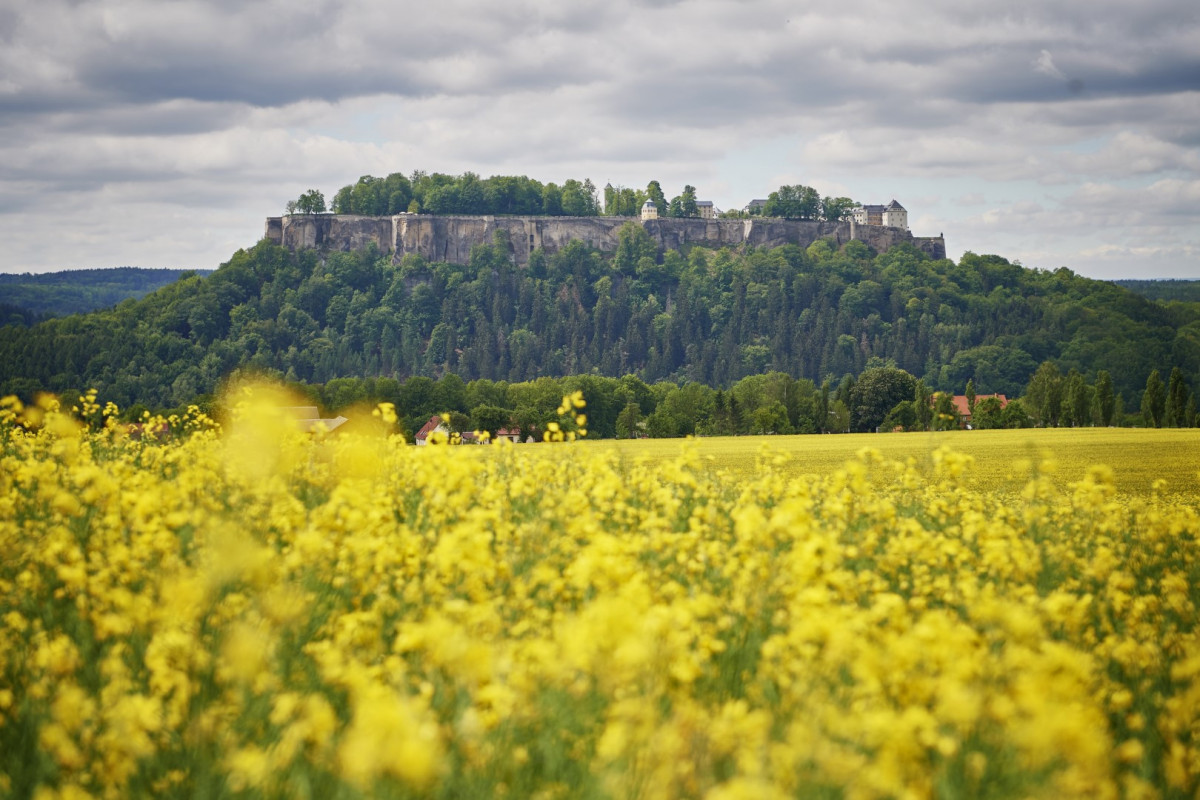 Festung Königstein - Trykowski Florian