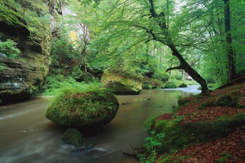 Soutěsky Kamenice, V. Sojka