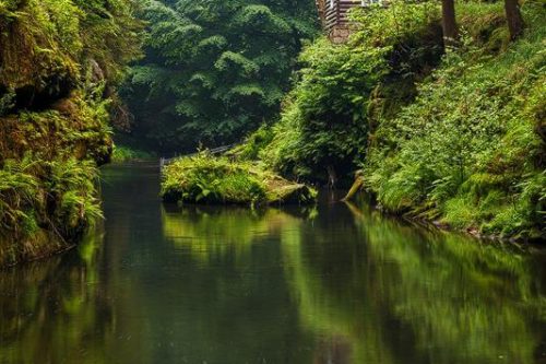 Divoká soutěska, M. Rak