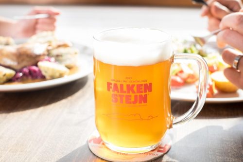 Pivo Falkenštejn