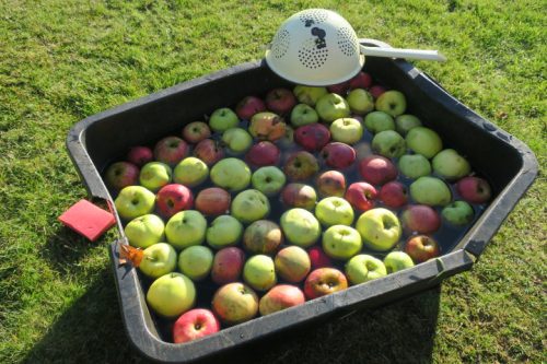 BBCidre