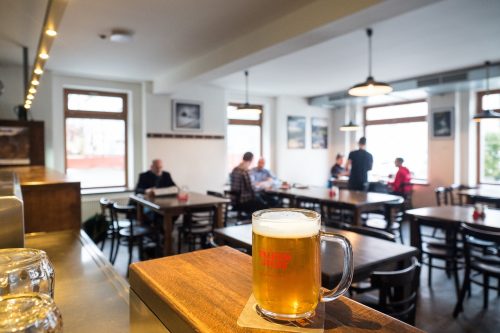 Pivo Falkenštejn