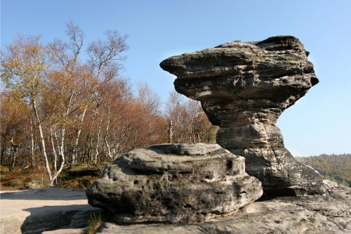 Skalní hřib