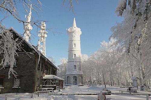 Jedlová zima