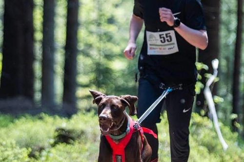 Parkmaraton 5