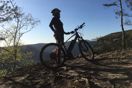 Elektrokola e-bike