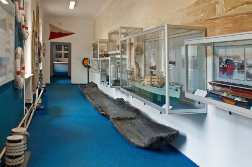 Oblastní muzeum v Děčíně