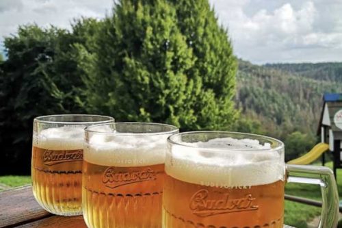 Resort-Mezná-pivo