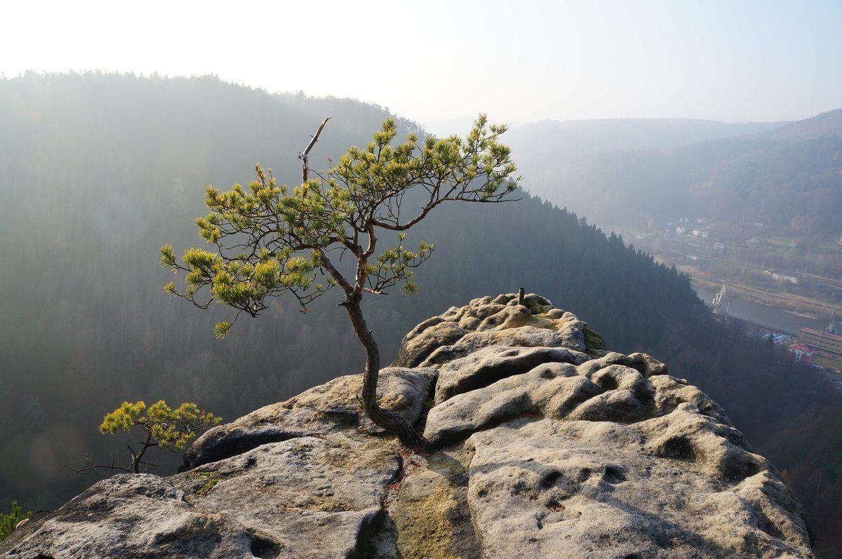 Růžový hřeben  (foto: archiv, České Švýcarsko o.p.s)