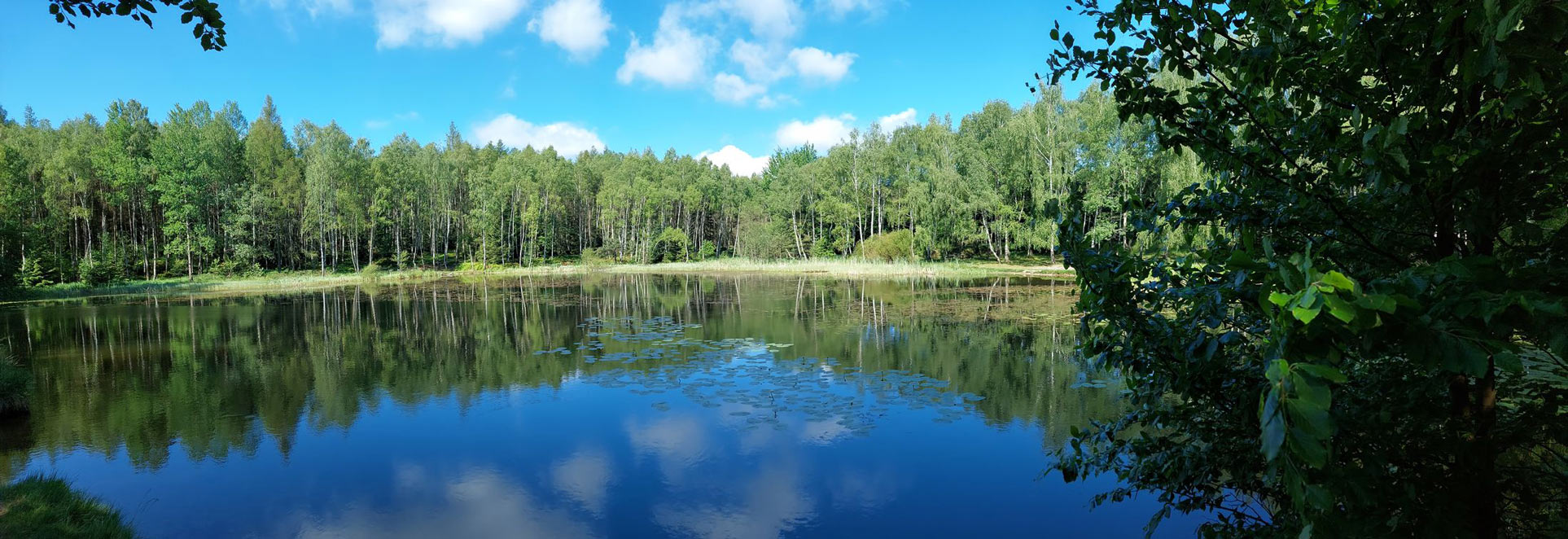 Vlčí jezero