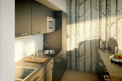 Aparthotel Lípa kuchyňský kout